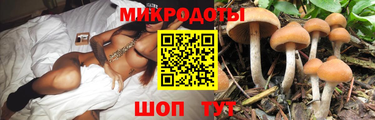 Галлюциногенные грибы прущие грибы Лабинск
