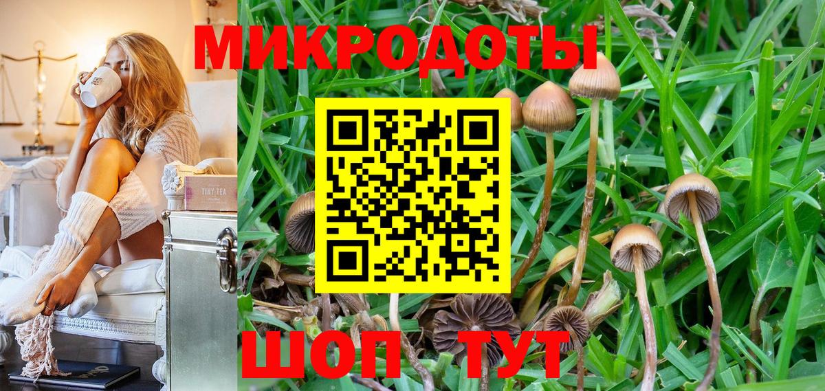 Псилоцибиновые грибы MAGIC MUSHROOMS  Галлюциногенные грибы Psilocybine cubensis  где купить   Лабинск  Вход с VPN 